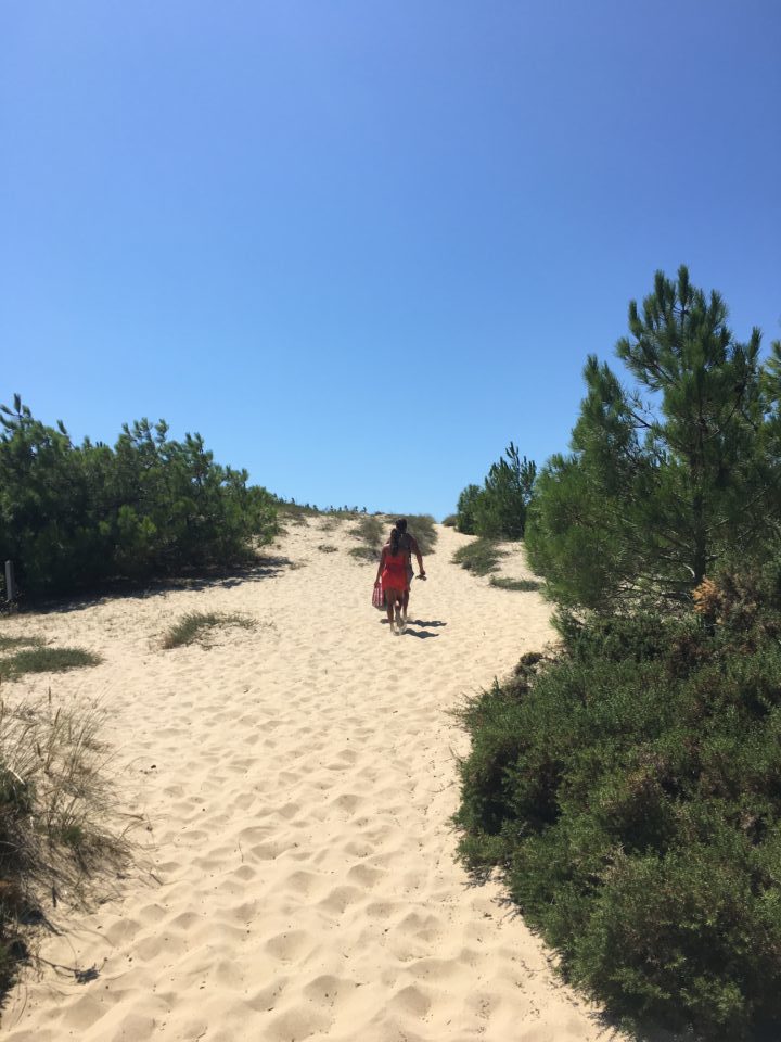 Atlantic-dunes-to-the-beach